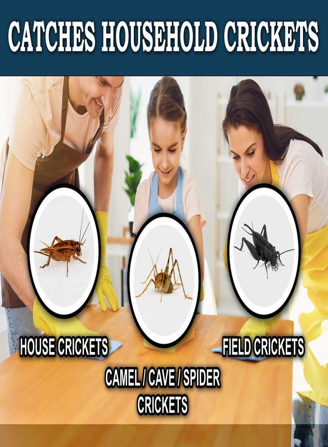 MaxGuard Extra Large Cricket Traps (8 Traps) | Non-Toxic Extra Sticky Glue Board Pre-Baited Cricket Attractant Trap & Kill House Crickets, Insects, Spiders, Bugs - Image 4